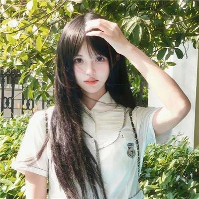 龟女士的奥德赛